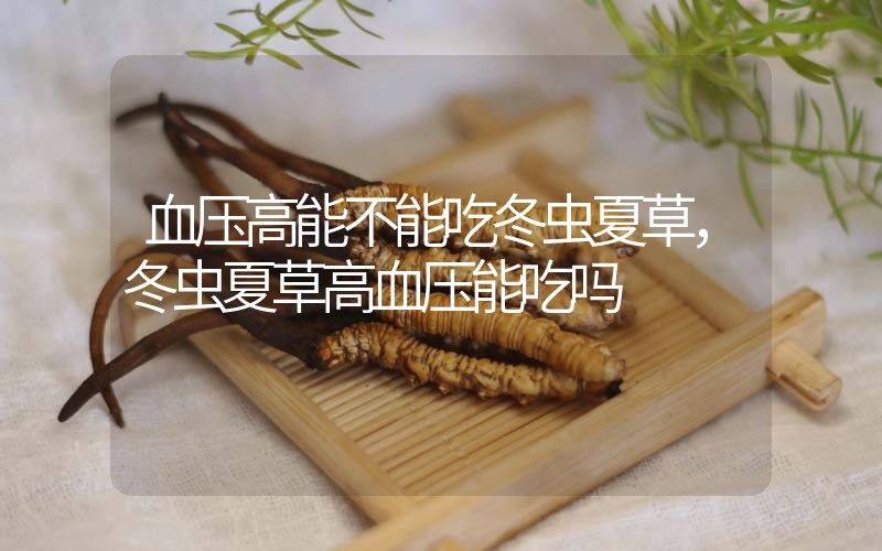 血壓高能不能吃冬蟲夏草，冬蟲夏草高血壓能吃嗎？