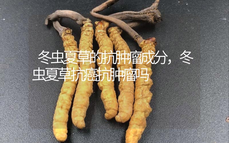 冬蟲夏草的抗腫瘤成分，冬蟲夏草抗癌抗腫瘤嗎？