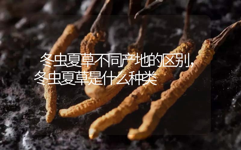 冬蟲夏草不同產地的區別，冬蟲夏草是什么種類