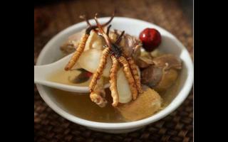 冬蟲夏草不同食用方法優劣比較