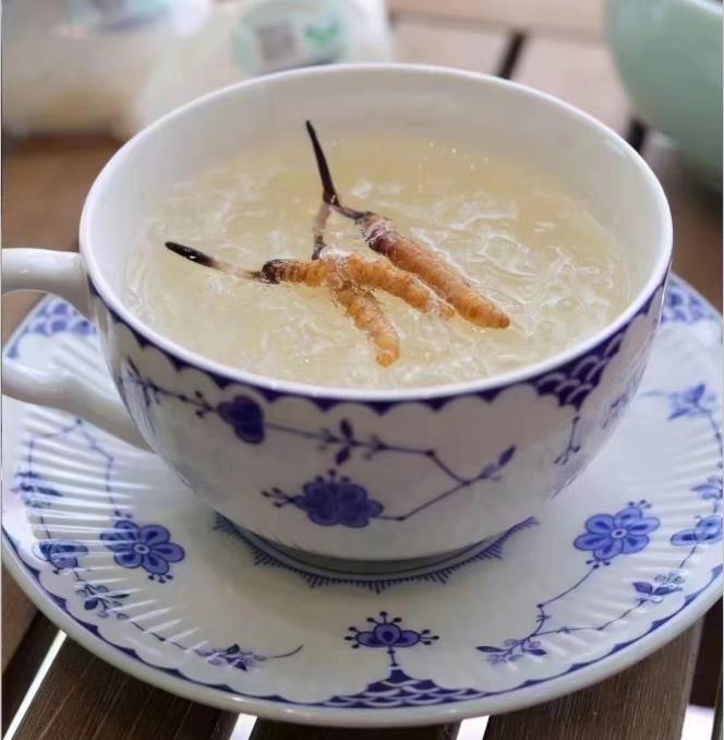 養(yǎng)生小竅門：冬蟲夏草燉什么好喝？