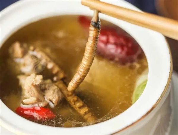 冬蟲夏草排骨湯：珍貴養生之道的美味融合
