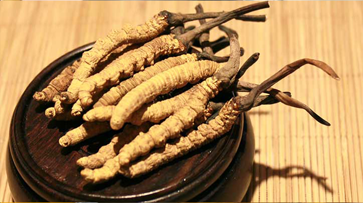 未來冬蟲夏草會漲價嗎？