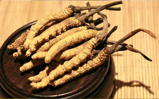 未來冬蟲夏草會漲價嗎？