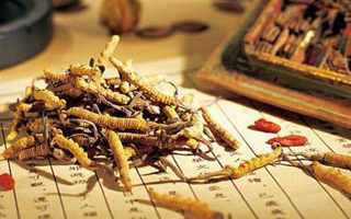 同仁堂健康冬蟲夏草：傳承品質，饋贈健康
