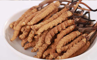冬蟲(chóng)夏草適合所有人群?jiǎn)幔恳晃慕颐?> </div>
            <div   id=