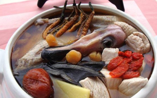 冬蟲(chóng)夏草配什么煲湯好？營(yíng)養(yǎng)美味的搭配指南