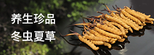 西藏那曲蟲草網(wǎng)行業(yè)新聞